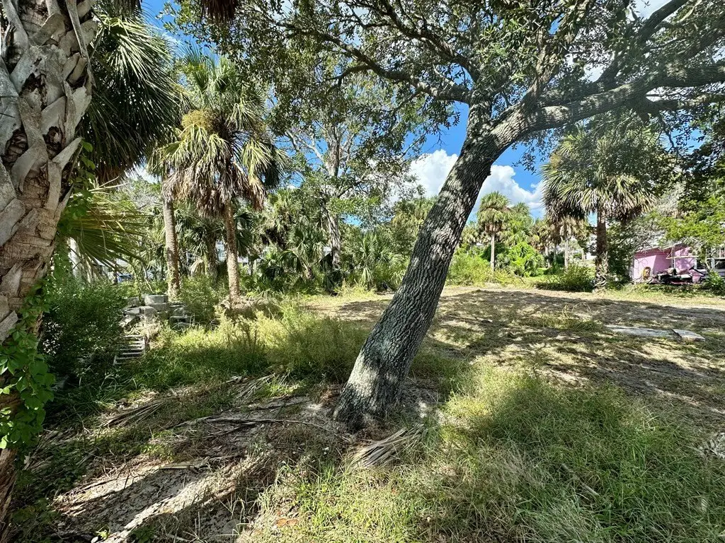 Picture 5