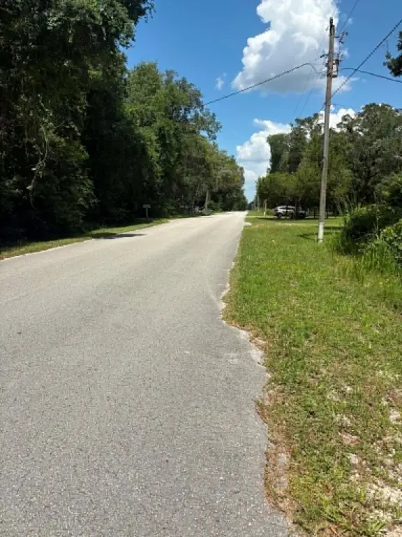 Picture 3