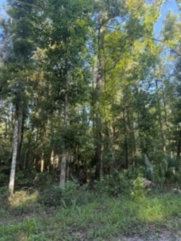 Picture 3