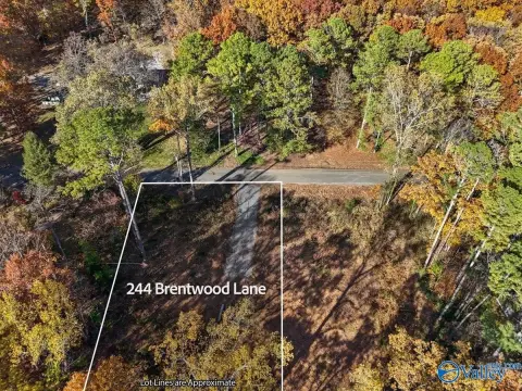 Wooded Lot in Madison, AL