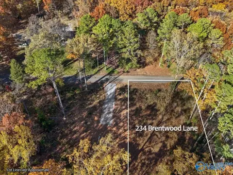 Wooded Lot in Prime Location