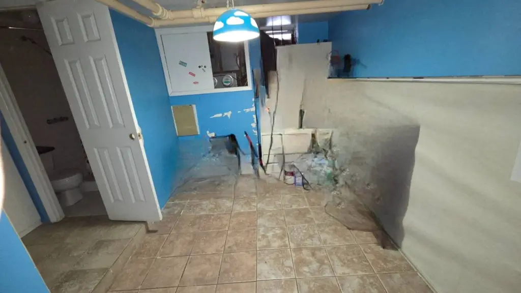 Picture 19