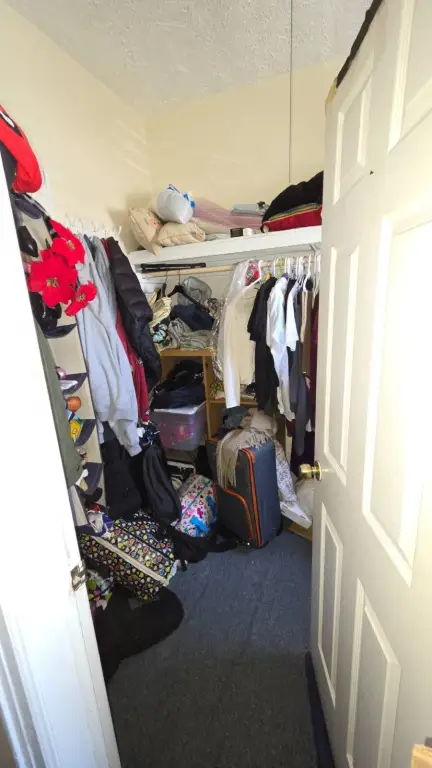 Picture 24