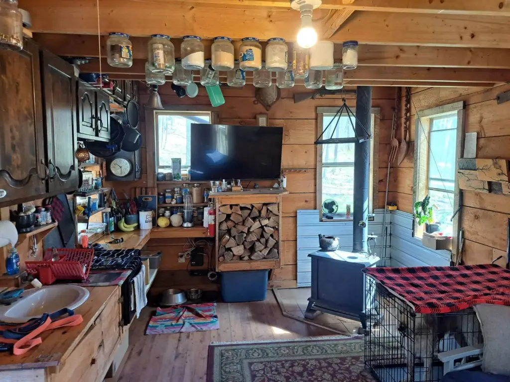 Picture 8
