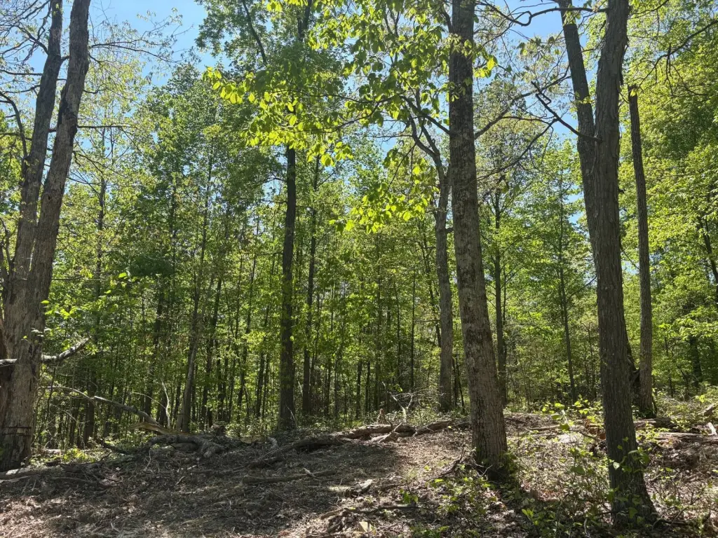 Picture 17