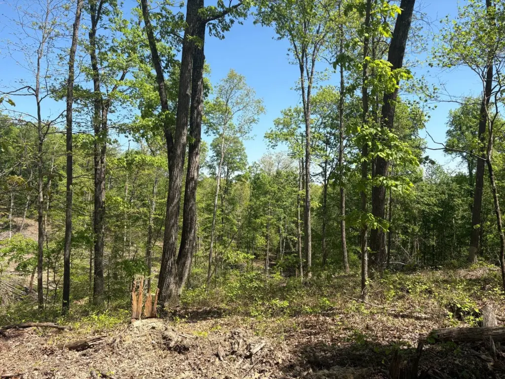 Picture 16