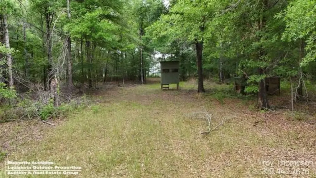 Picture 11