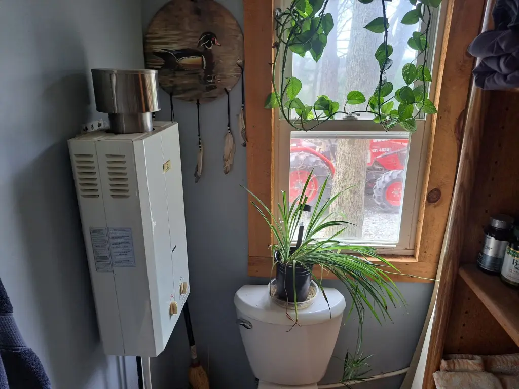Picture 16