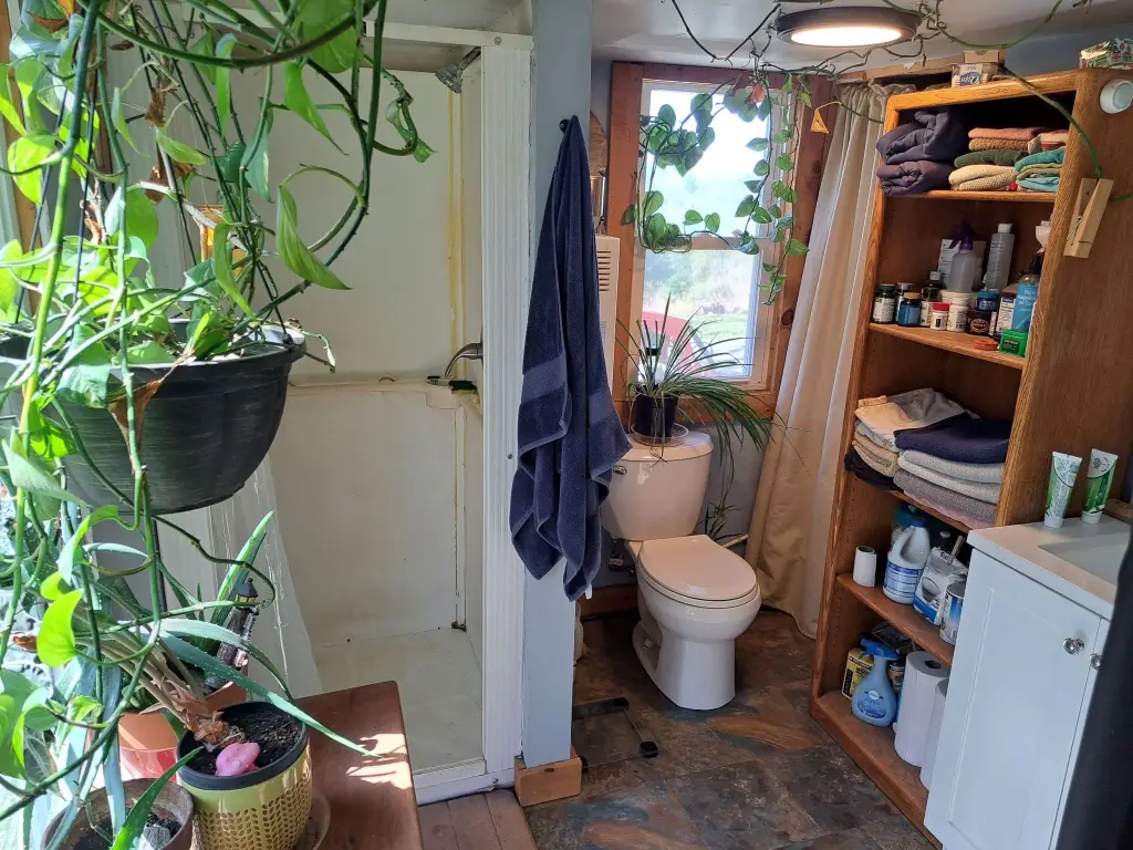 Picture 14