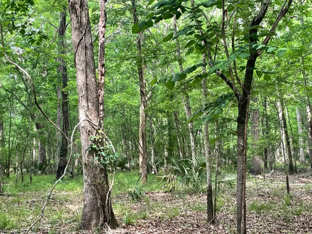 Picture 25