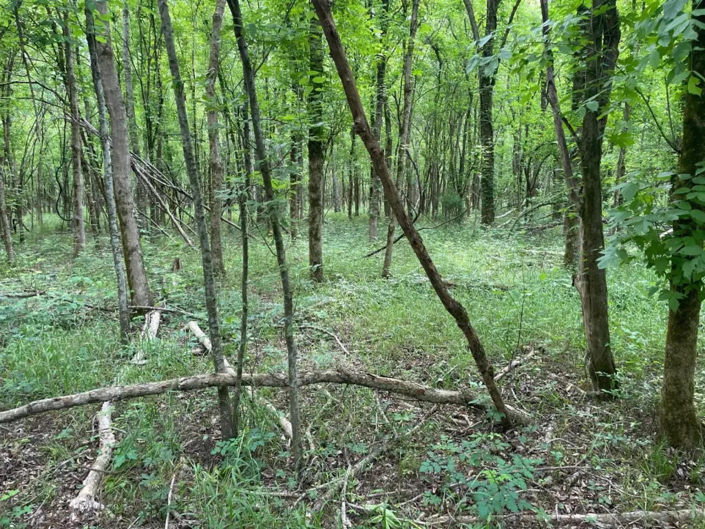 Picture 12