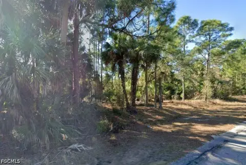 Vacant Land in Lehigh Acres