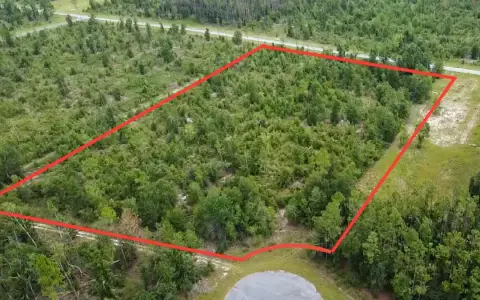 Residential Acreage in Live Oak