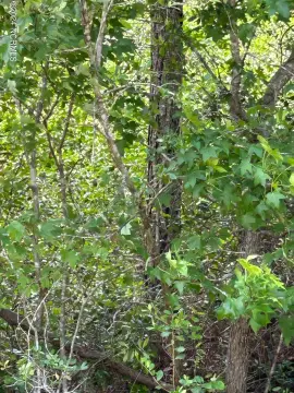 Southport, NC Land For Sale