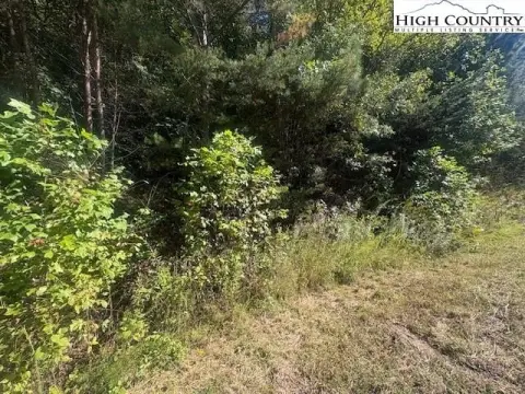 10.5 Acres of Mountain Land