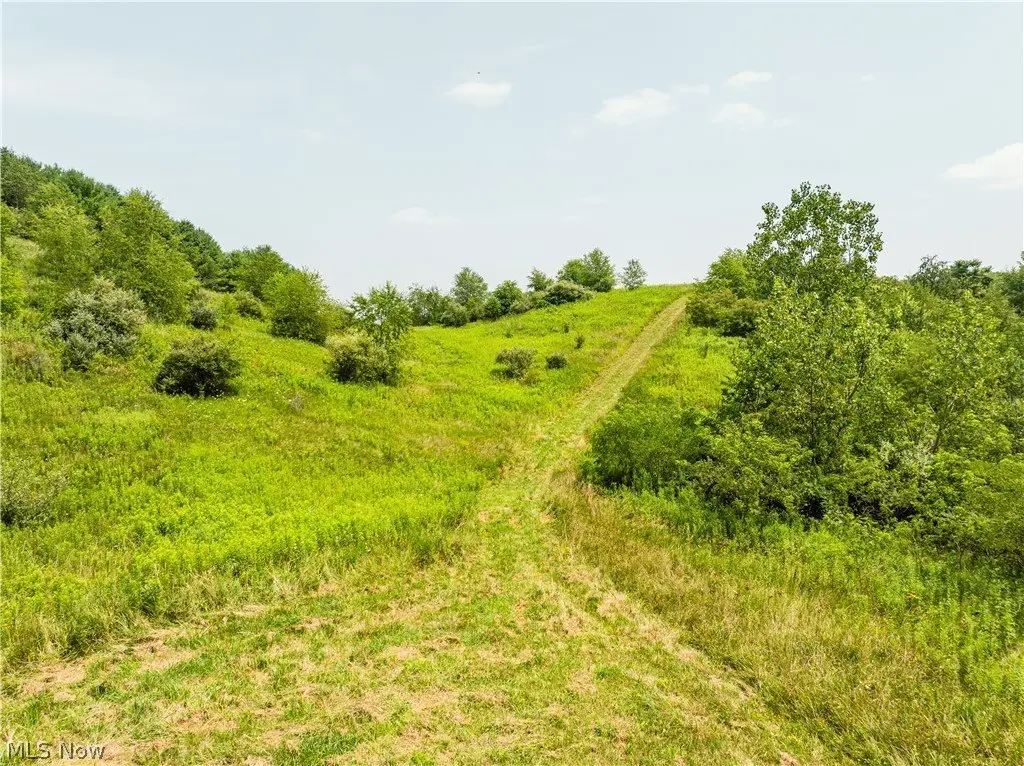 Picture 30