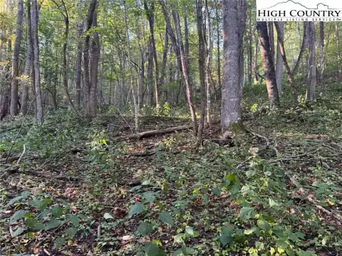 Land with Mountain View Potential