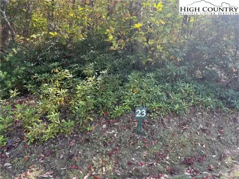 Ennice, NC Wooded Homesite