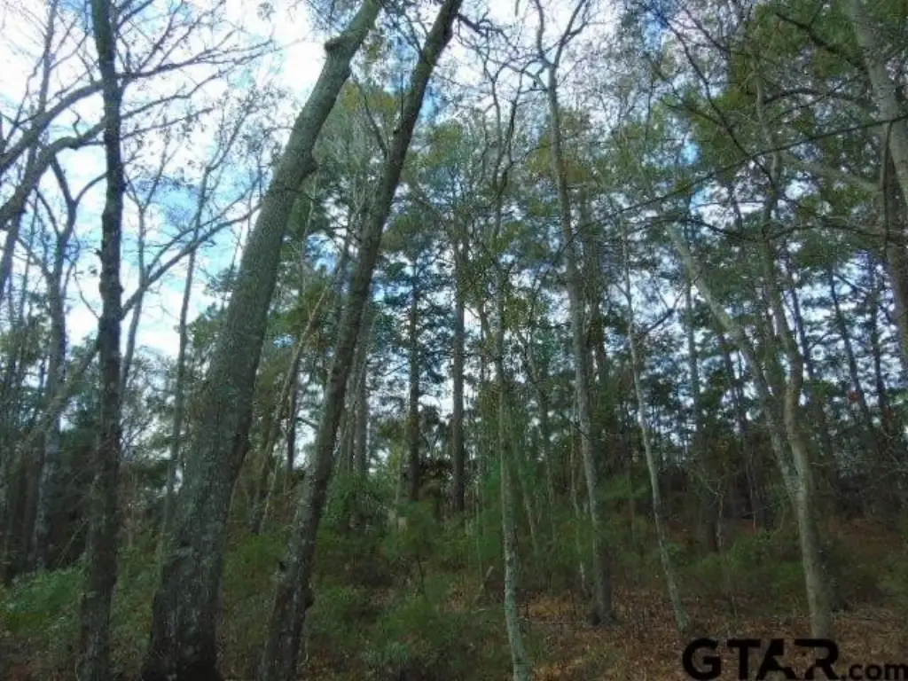 Picture 17