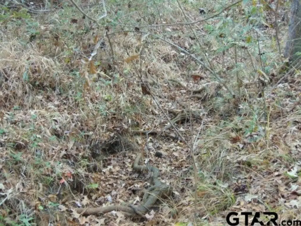 Picture 16