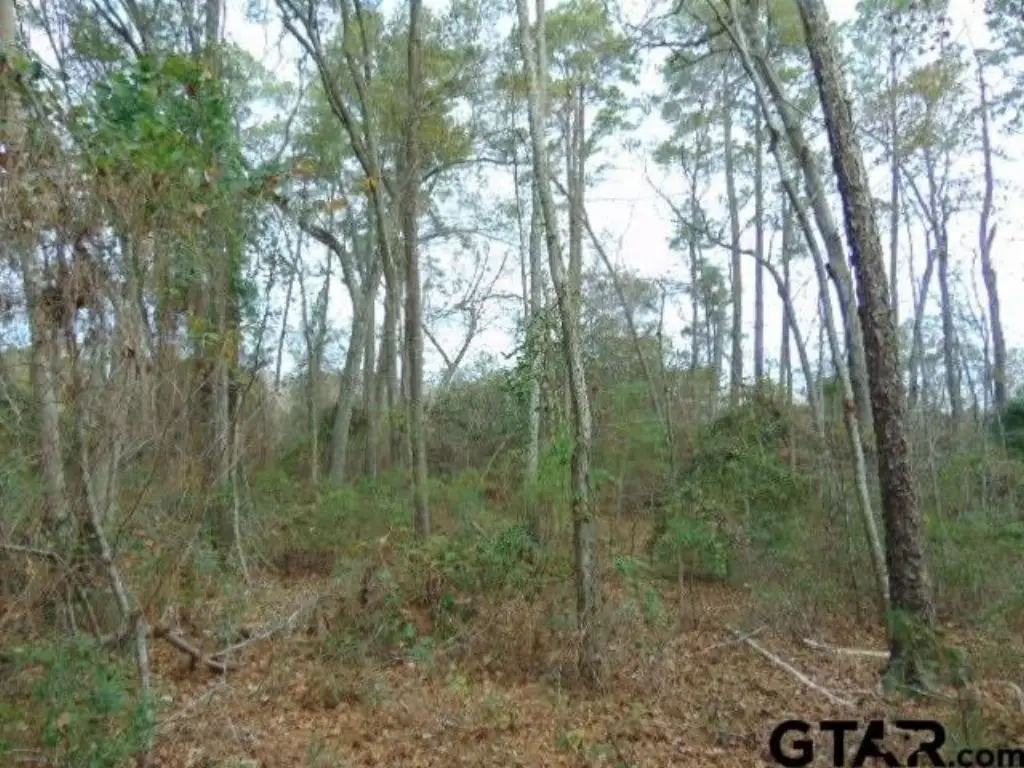 Picture 14