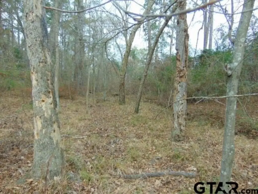 Picture 15