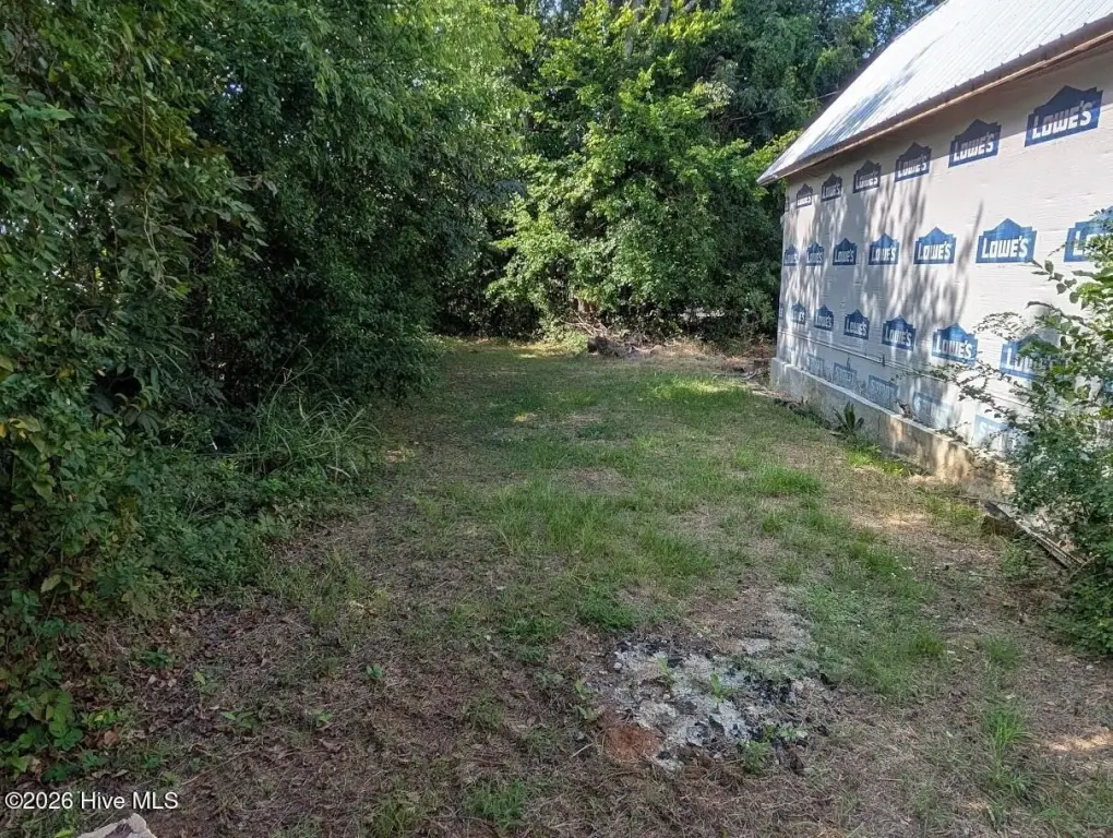 Picture 21