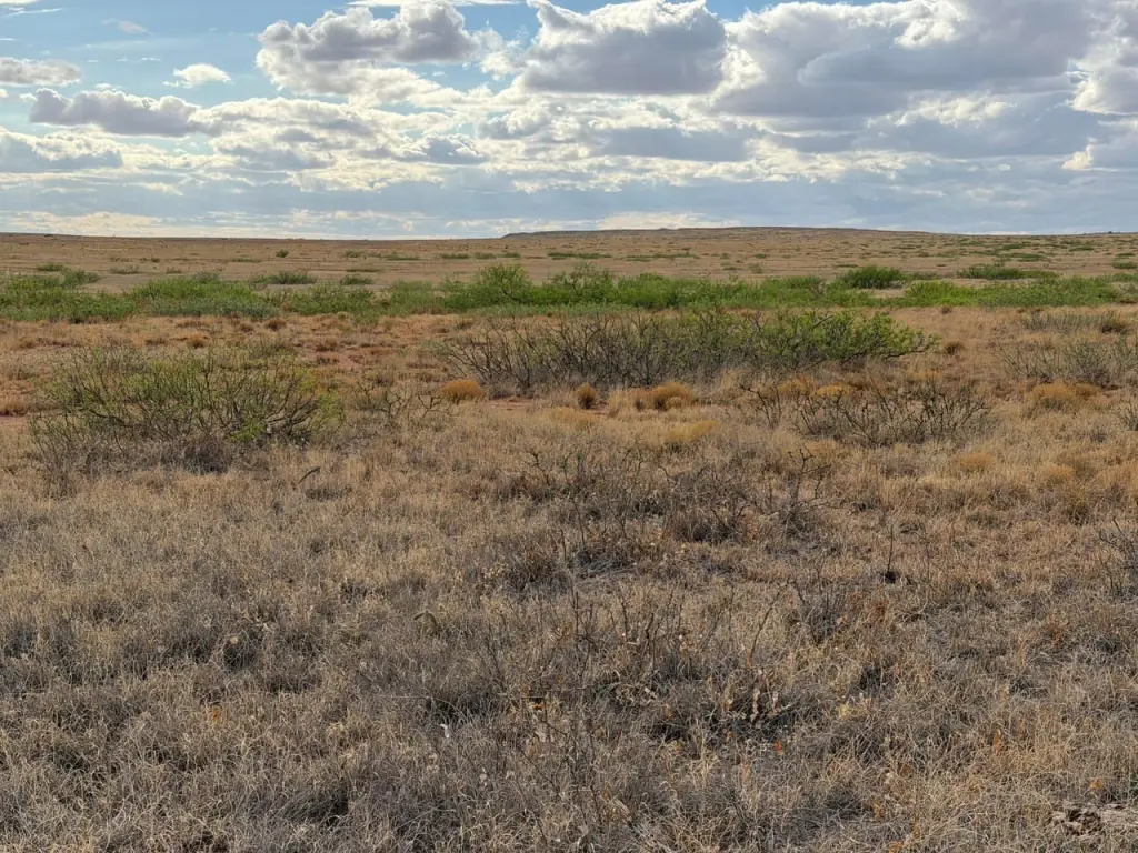 Picture 25