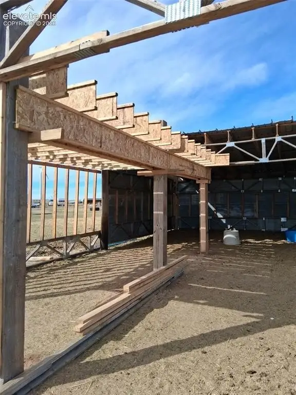 Picture 5