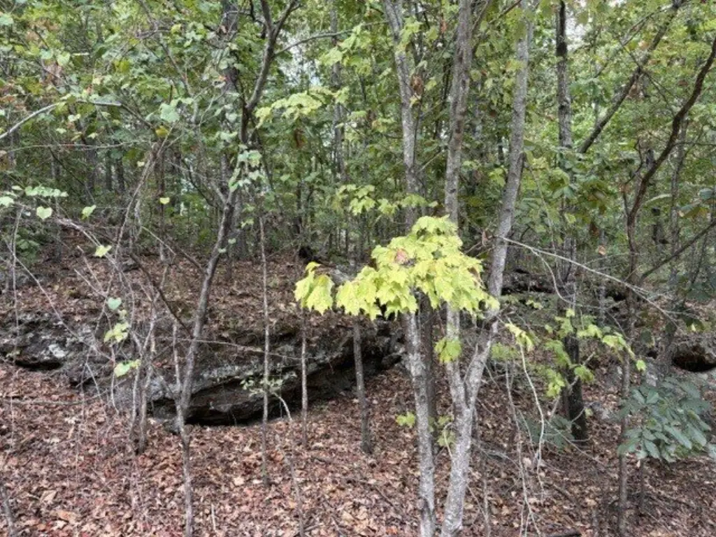 Picture 6
