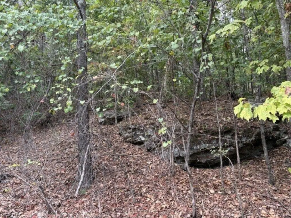 Picture 5