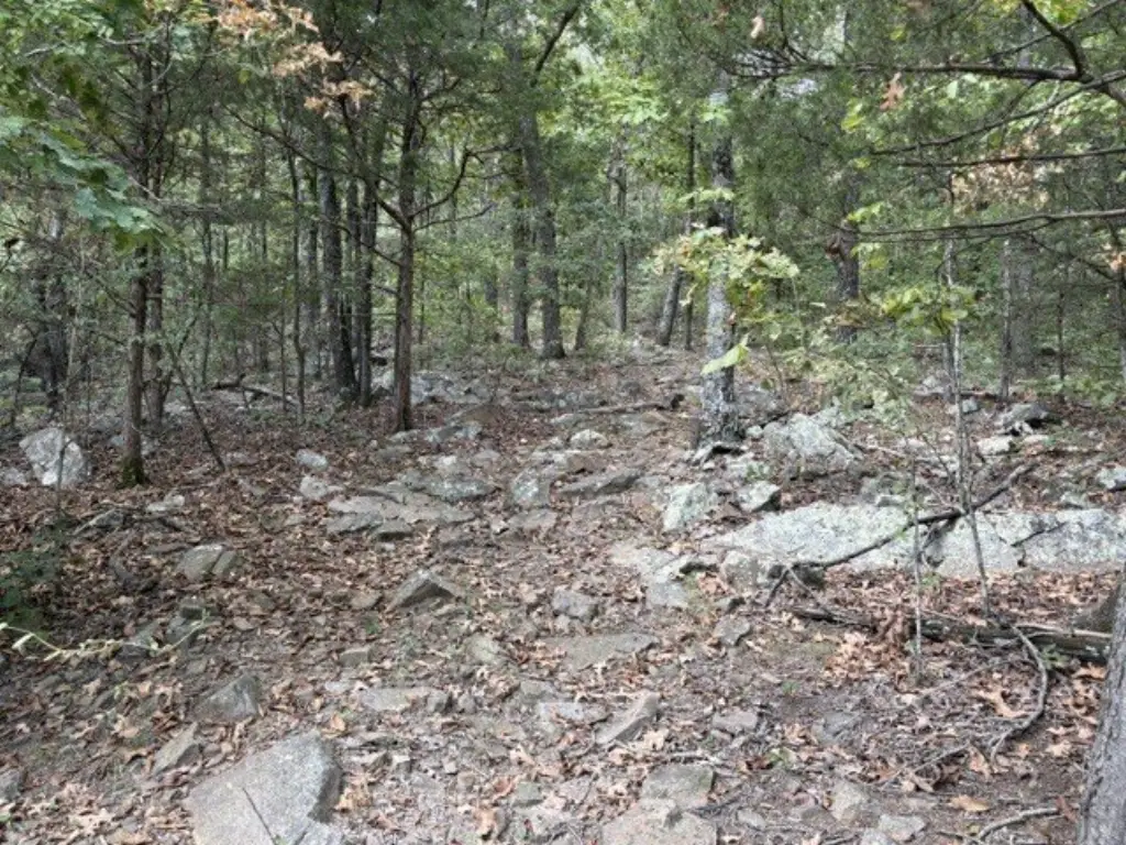 Picture 3