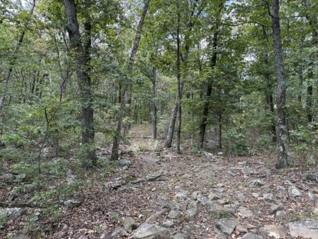 Picture 4