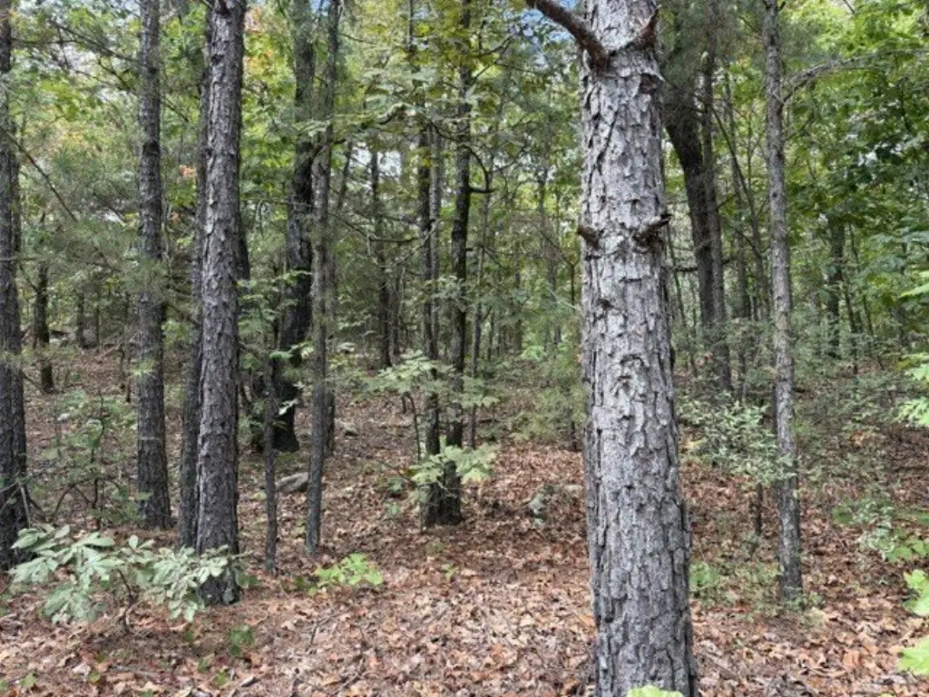 Picture 9