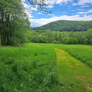 Tioga County Land for Recreation