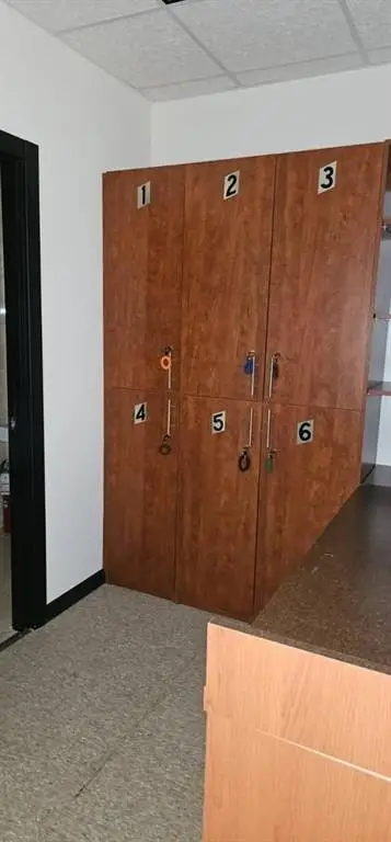 Picture 7