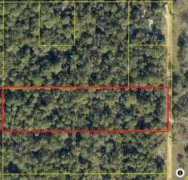 Secluded Wooded Lot Near Tampa