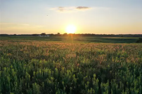 Iowa Agricultural Farmland Portfolio