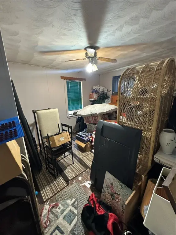Picture 32