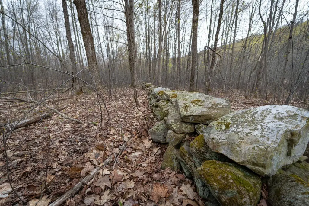 Picture 21