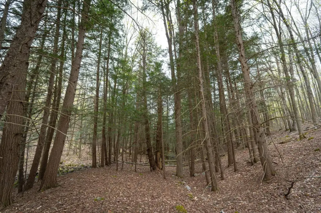 Picture 47