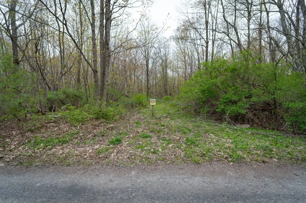 Picture 14