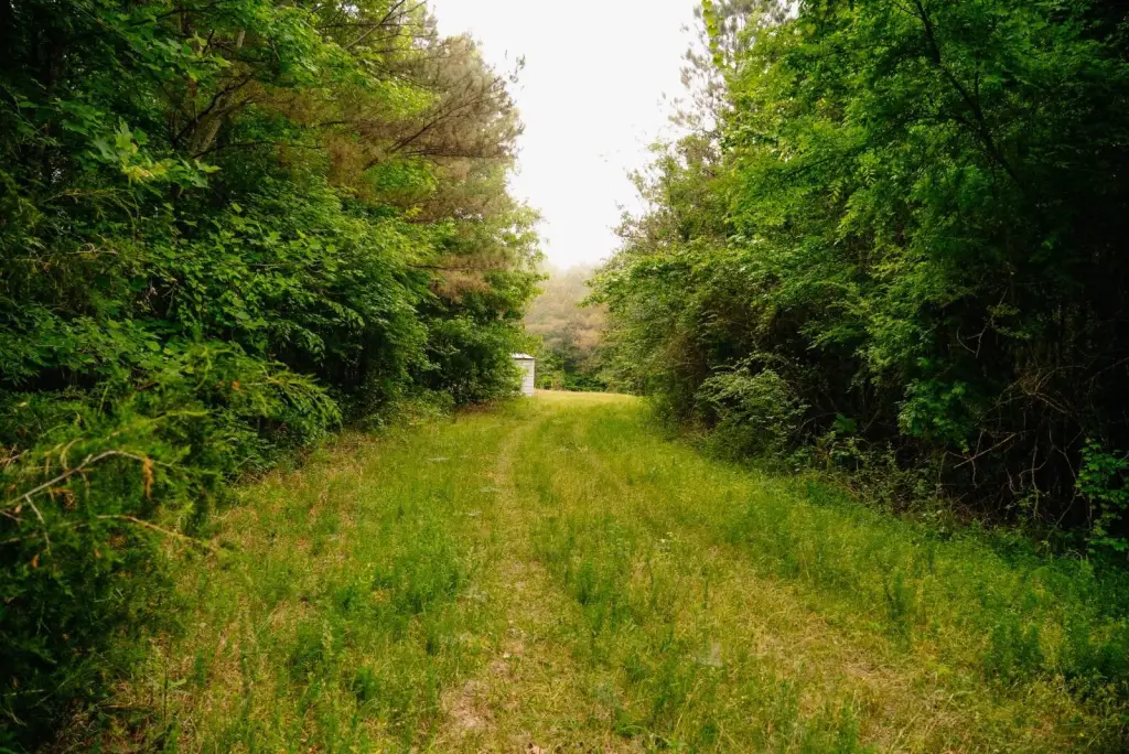 Picture 30