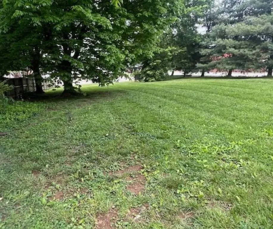 Picture 18