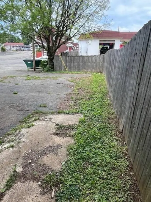 Picture 23