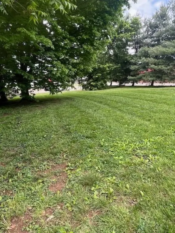 Picture 26