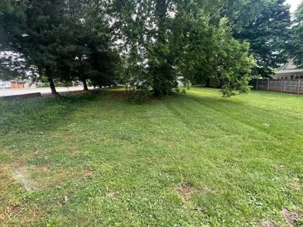 Picture 13
