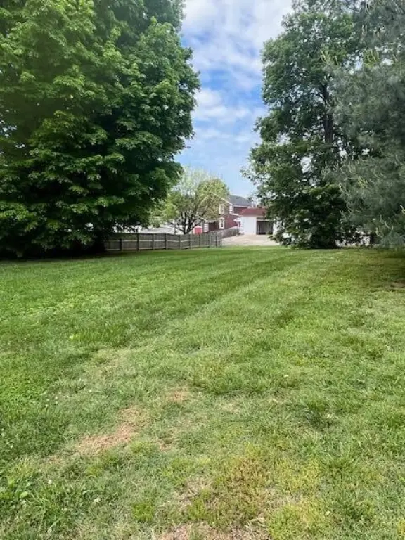 Picture 16