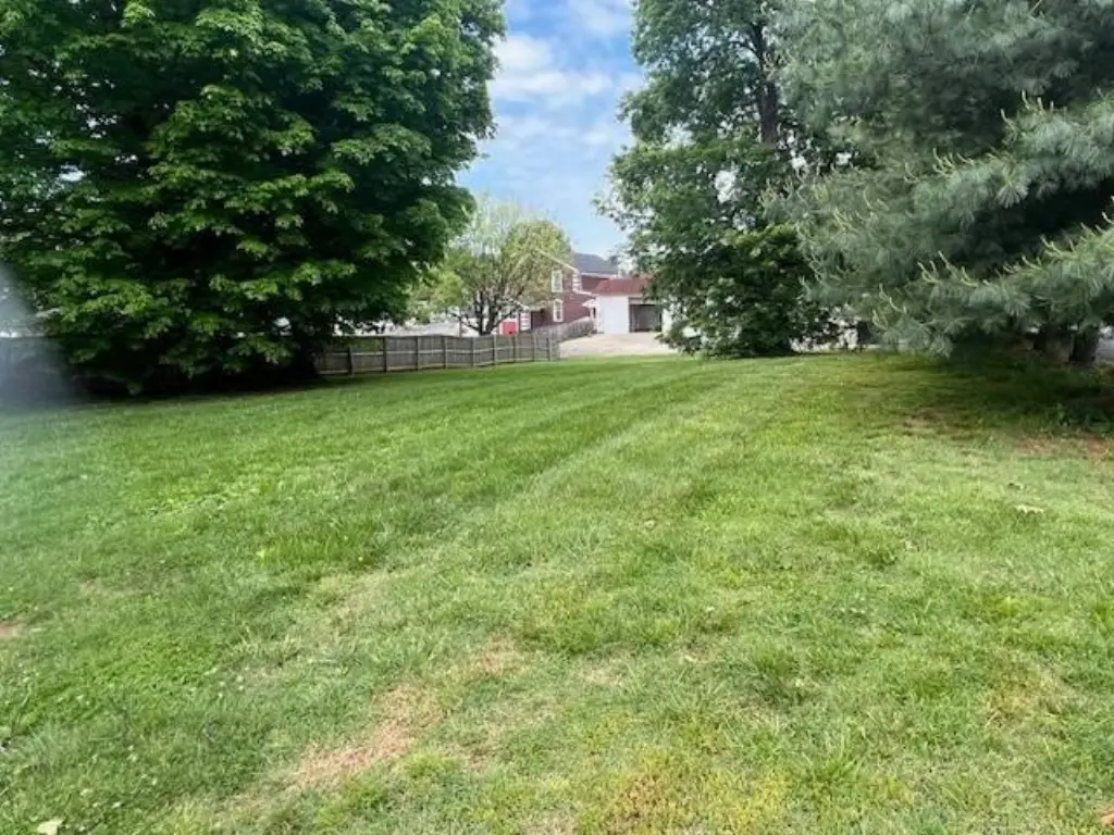 Picture 15