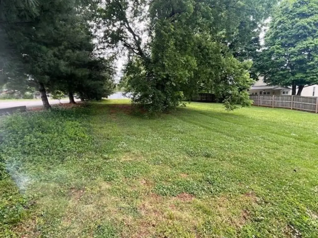 Picture 12